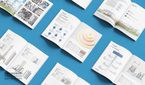 吉林硅寶科技公司企業(yè)宣傳冊設(shè)計案例解析——北邦設(shè)計的技術(shù)推廣服務(wù)實踐